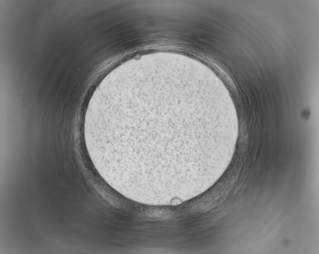 X0000116600437201001221301
