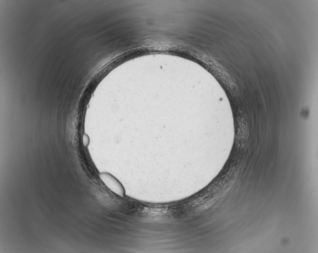 X0000116600440201001221301