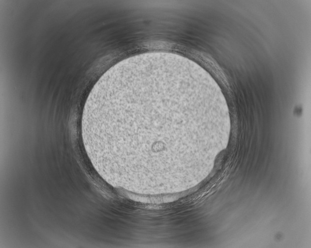 X0000116600441201001221301