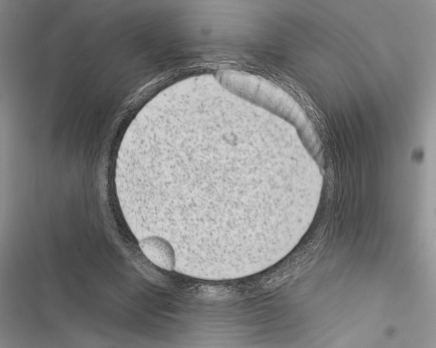 X0000116600442201001221301