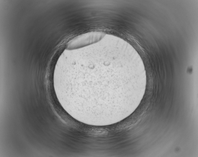 X0000116600443201001221301