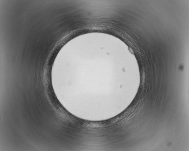 X0000116600444201001221301