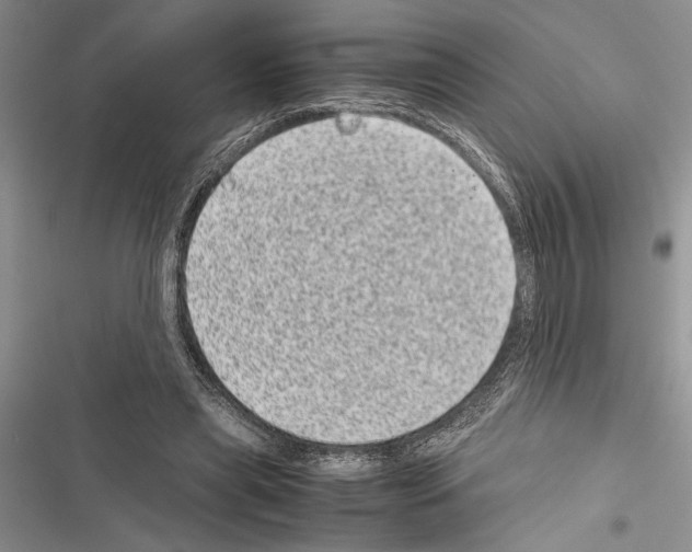 X0000116600445201001221301