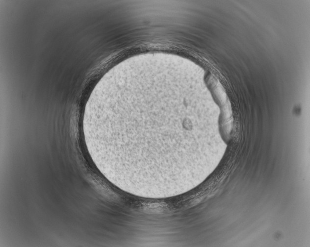 X0000116600446201001221301