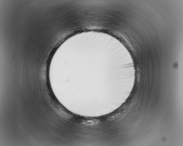 X0000116600447201001221301