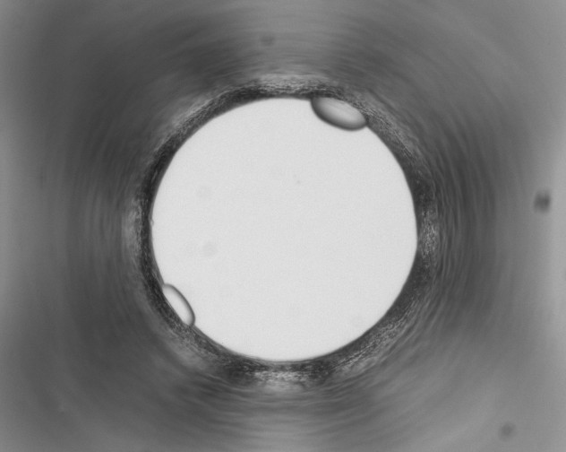 X0000116600448201001221301