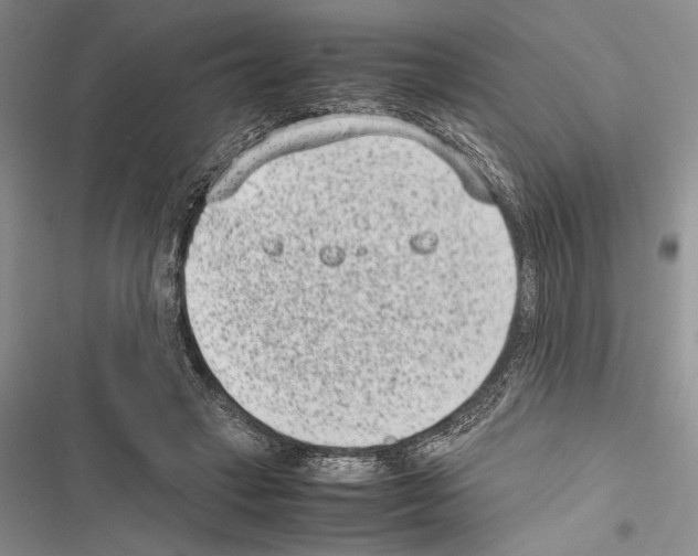 X0000116600449201001221301