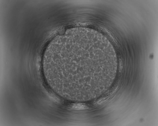 X0000116600451201001221301