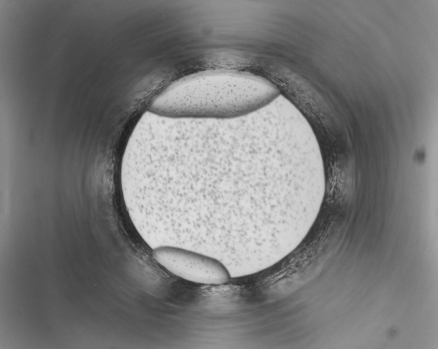 X0000116600452201001221301