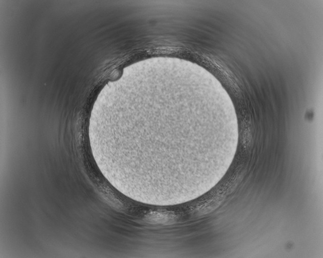 X0000116600455201001221301