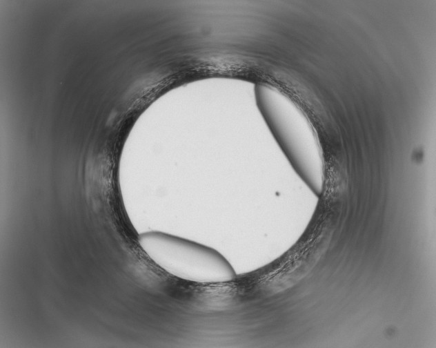 X0000116600456201001221301