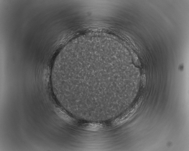 X0000116600458201001221301