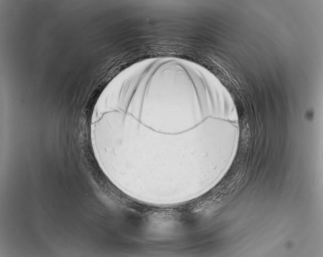 X0000116600459201001221301