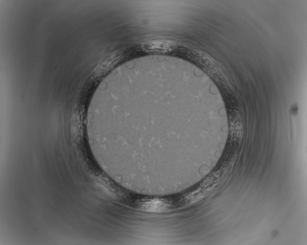 X0000116600460201001221301