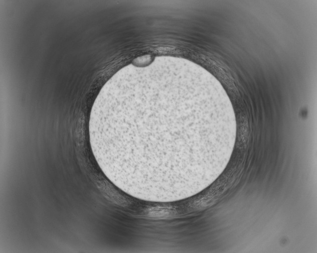 X0000116600461201001221301