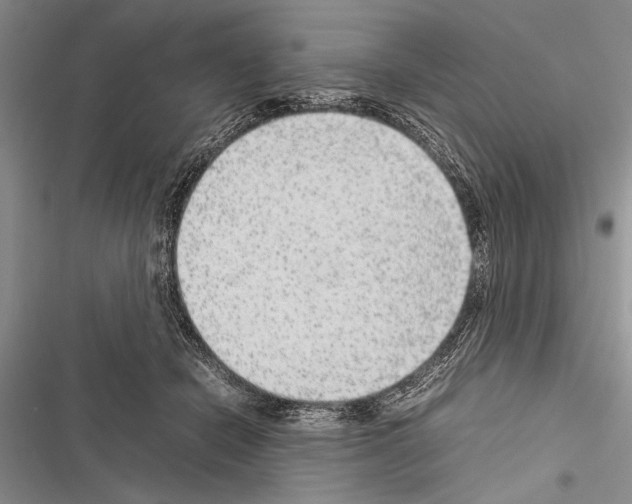 X0000116600462201001221301