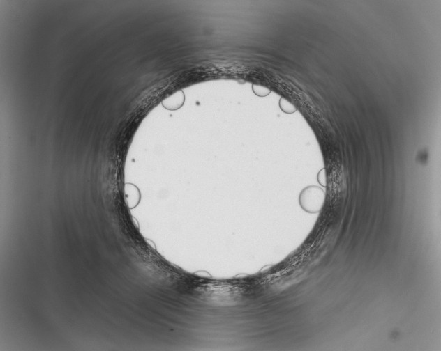 X0000116600464201001221301