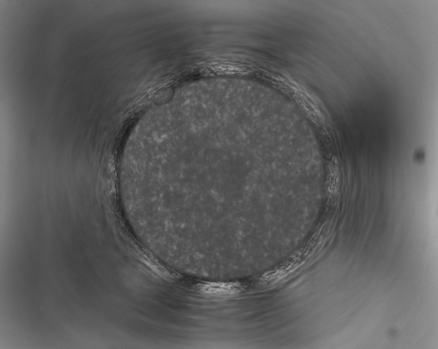X0000116600465201001221301