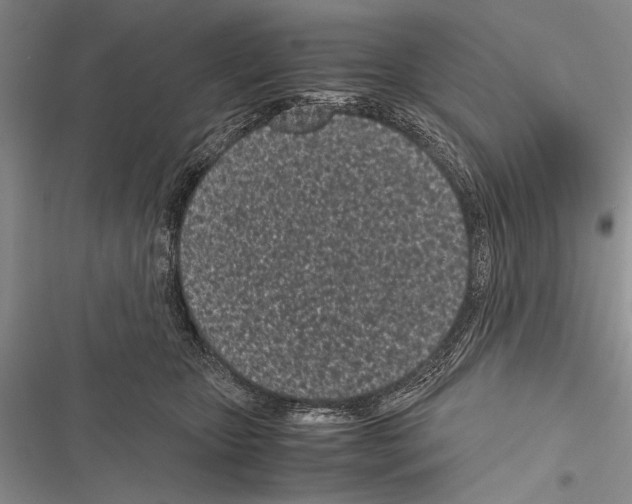 X0000116600467201001221301