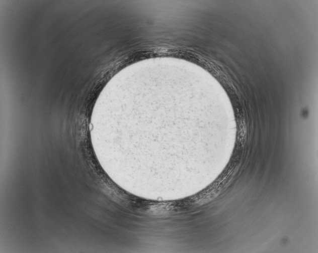 X0000116600470201001221301