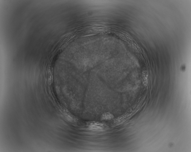 X0000116600471201001221301