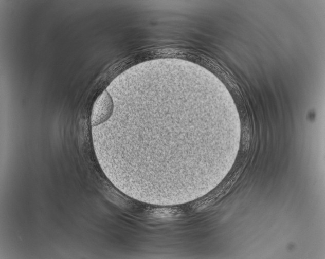 X0000116600473201001221301