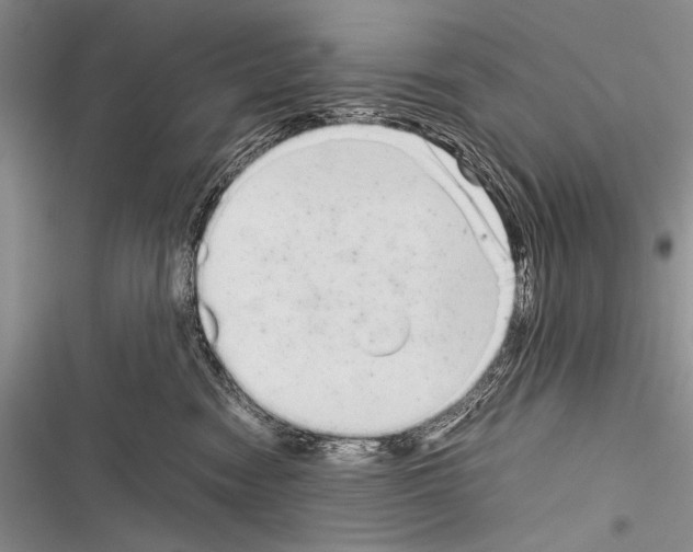 X0000116600474201001221301