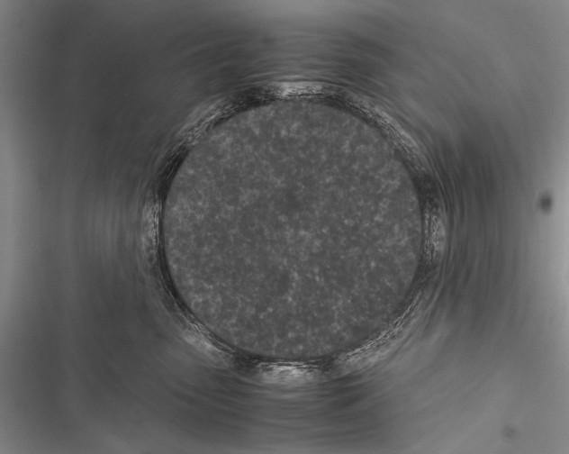 X0000116600475201001221301