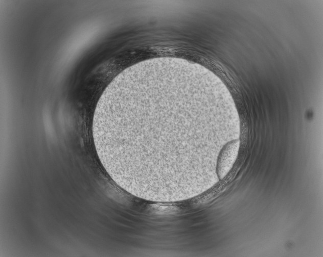 X0000116600477201001221301