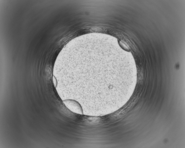 X0000116600478201001221301