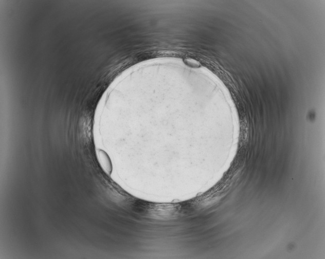 X0000116600479201001221301