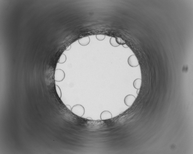 X0000116600480201001221301