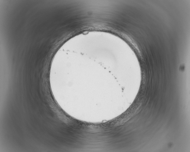 X0000116600481201001221301