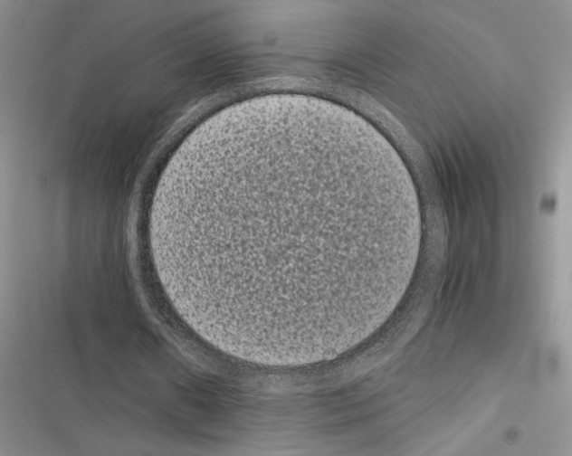 X0000116600482201001221301