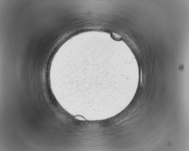 X0000116600483201001221301