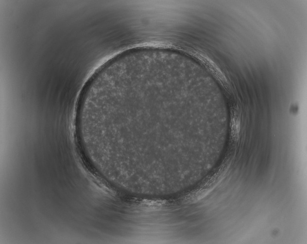 X0000116600484201001221301