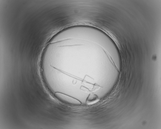 X0000116600485201001221301