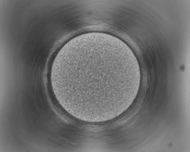 X0000116600486201001221301