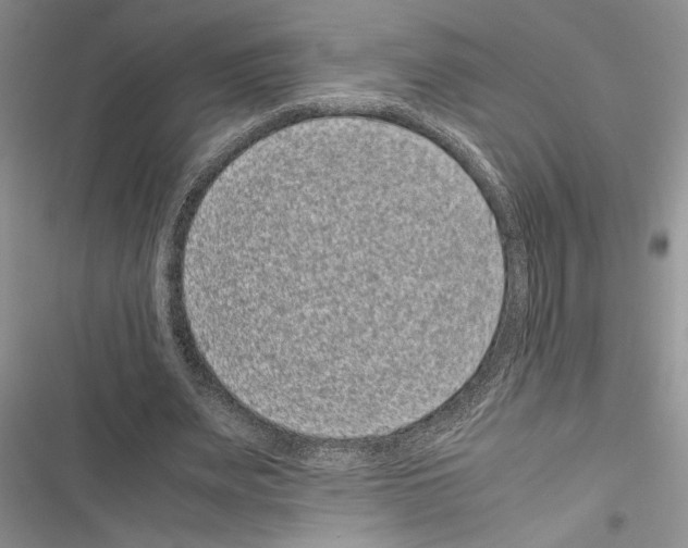 X0000116600487201001221301