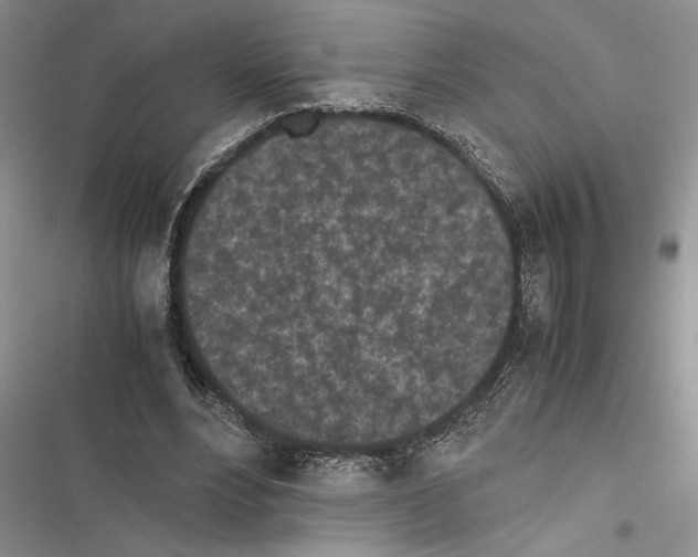 X0000116600488201001221301