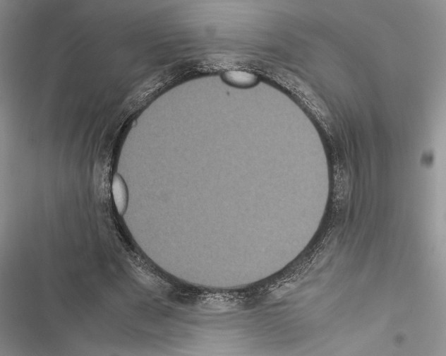 X0000116600489201001221301
