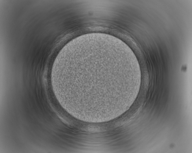 X0000116600490201001221301