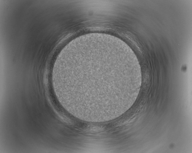 X0000116600491201001221301