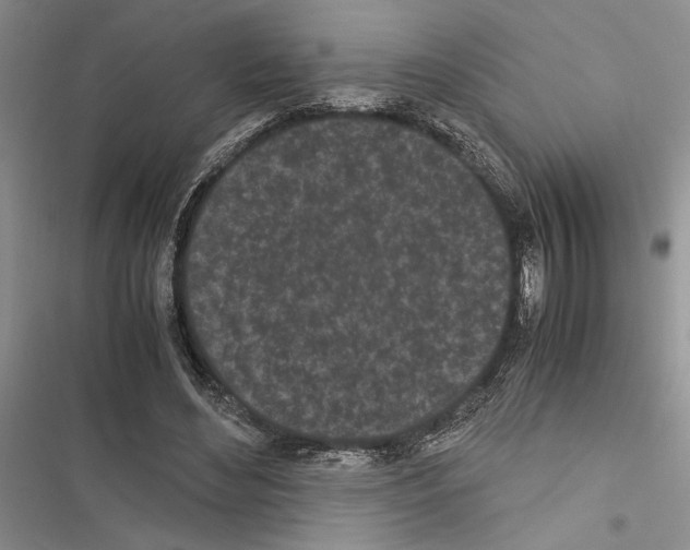 X0000116600492201001221301