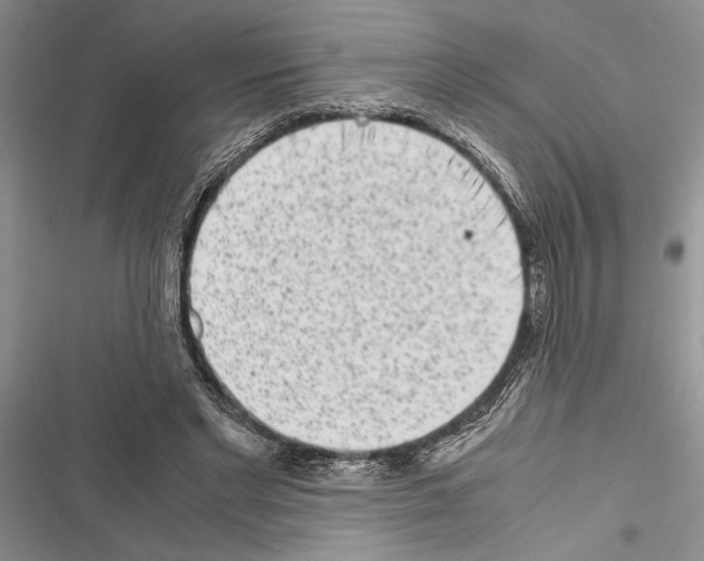 X0000116600493201001221301