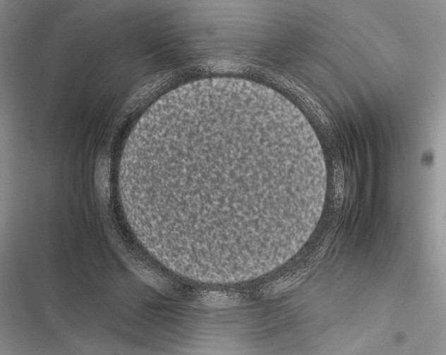 X0000116600494201001221301