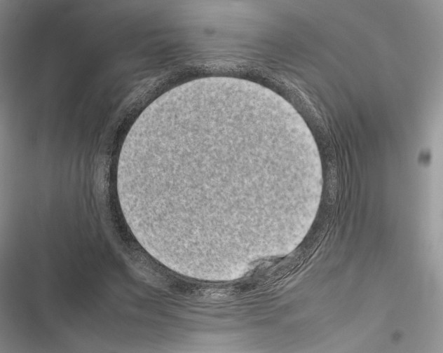 X0000116600495201001221301