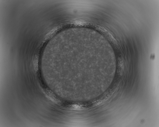 X0000116600496201001221301