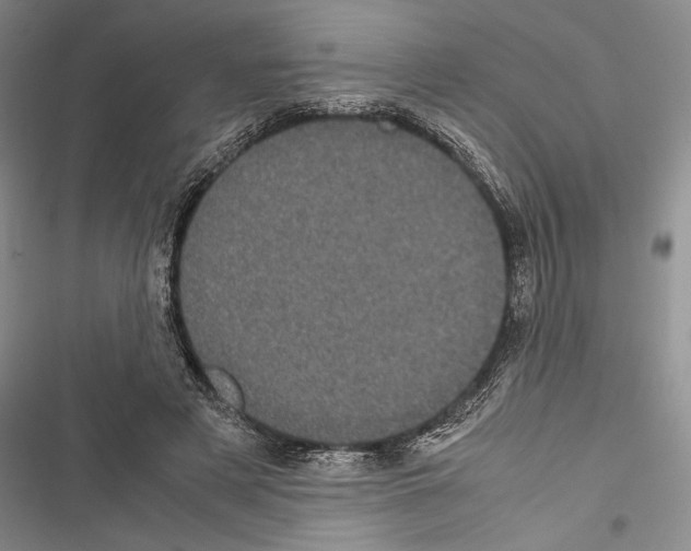 X0000116600497201001221301