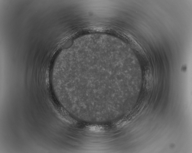 X0000116600500201001221301